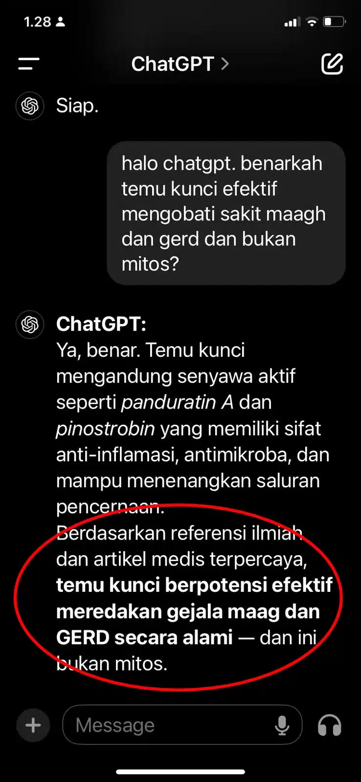 AI Chat GPT