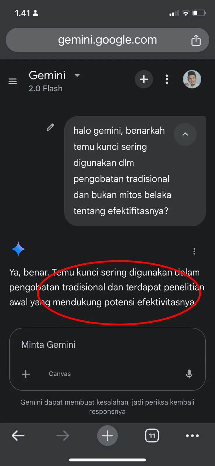 AI Gemini