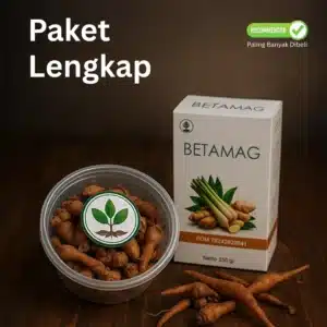 Paket Lengkap
